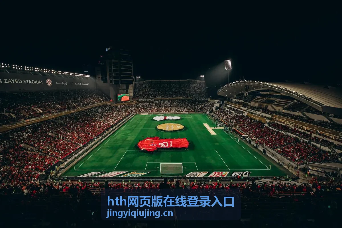 hth网页版在线登录入口的浏览器环境检查示意